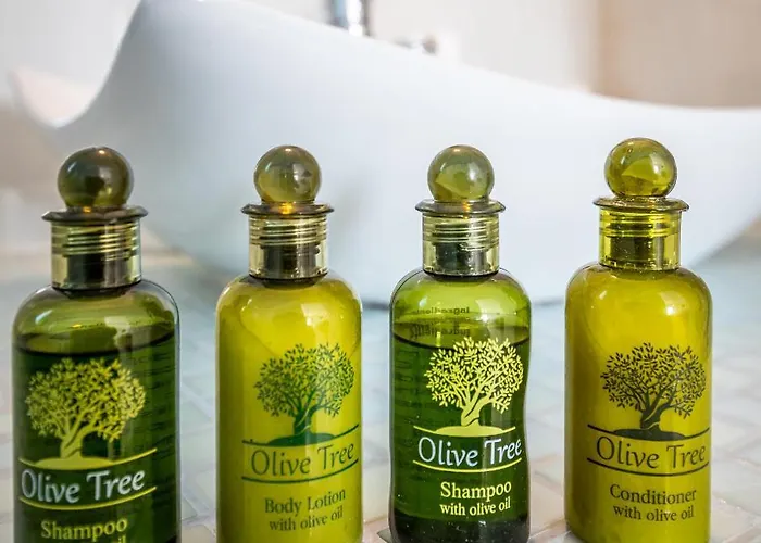 Astraeos Guest house Pachaina