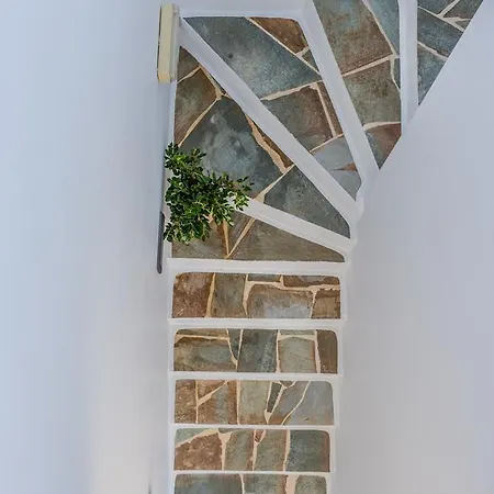 Pensión Astraeos Pachaina